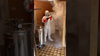 Tratamiento con CO₂ contra cucaracha germánica en cocina profesional