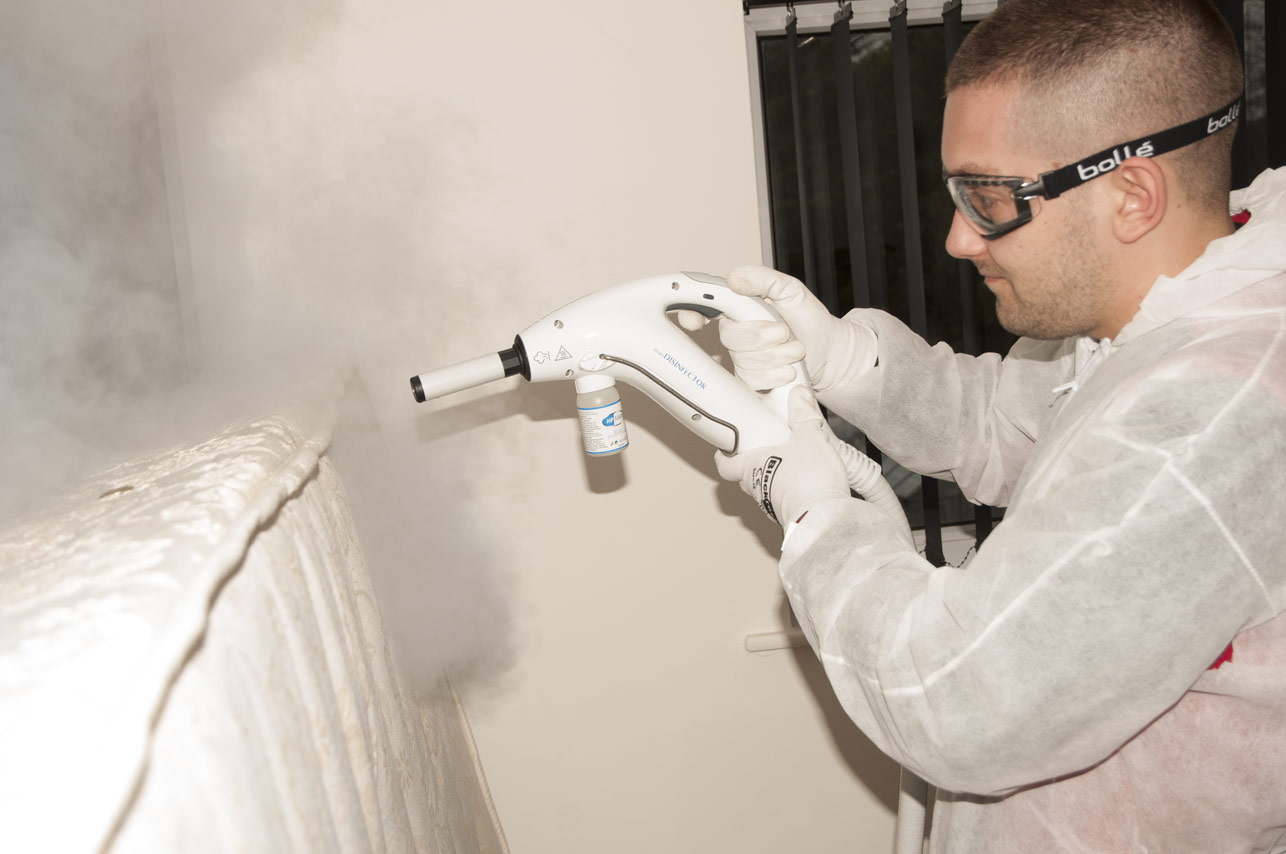 Técnico aplicando tratamiento de vapor contra chinches